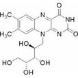 維生素b2(維生素G)