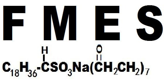 FMES的分子式