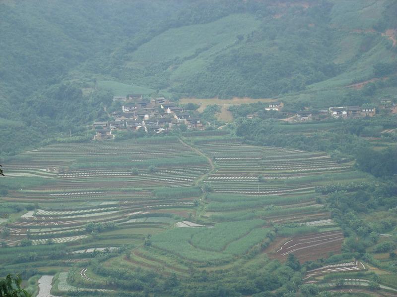 尾龍底村