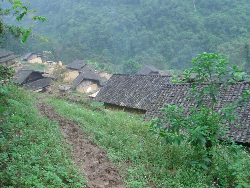 進村道路