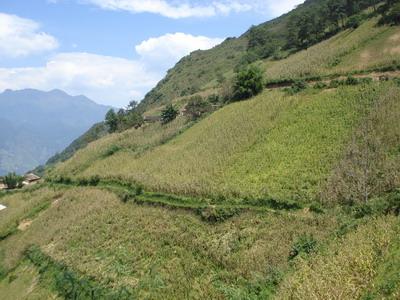 上指甲啦村