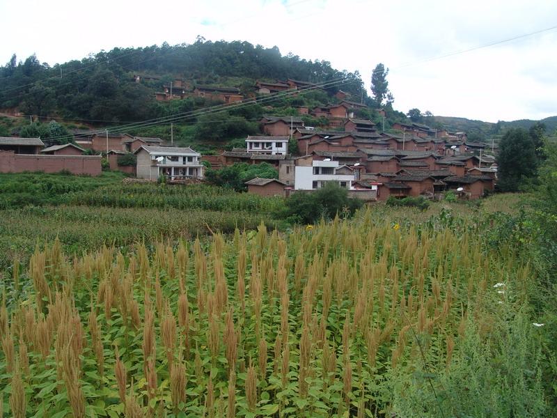 彎子村(雲南省文山州硯山縣者臘鄉彎子村)