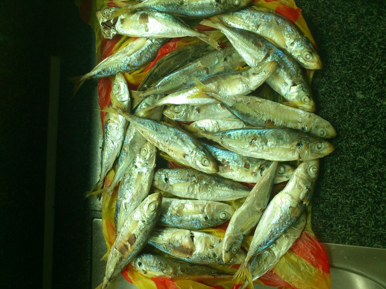 美味鯷魚煎