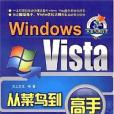 Windows Vista從菜鳥到高手