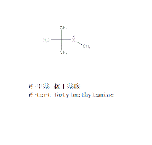 N-甲基-叔丁基胺