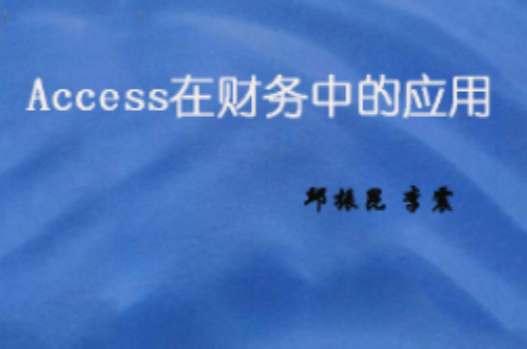 Access在財務中的套用