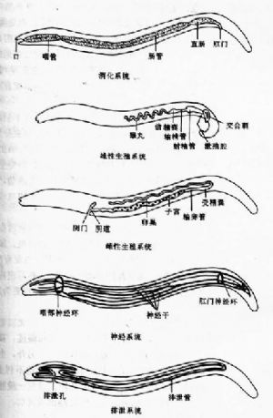 相關圖片