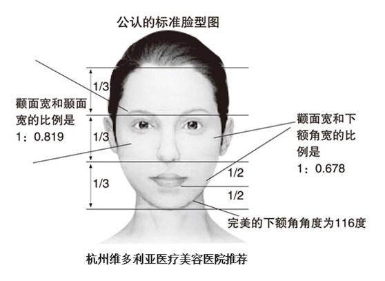 標準臉型