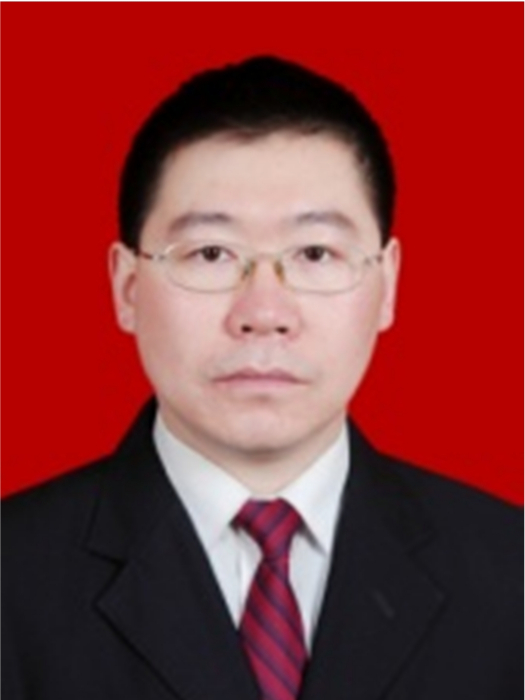 王有元(重慶大學電氣工程學院博士生導師)