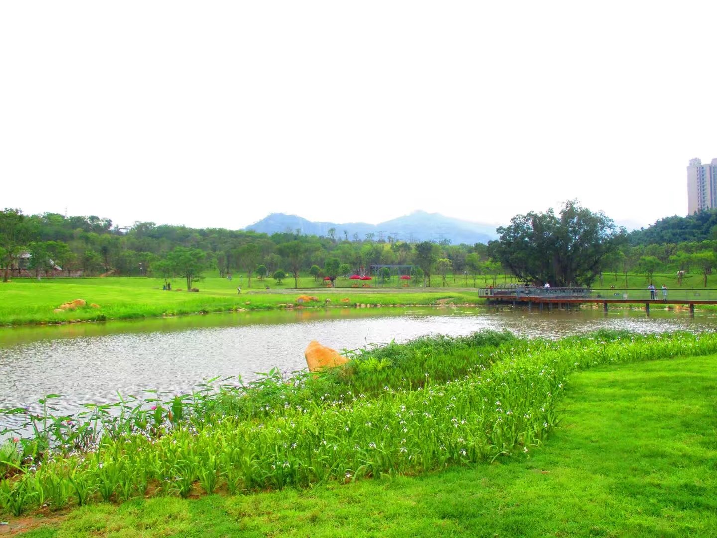 雨花溪湖