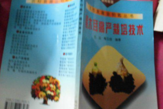 黑木耳高產栽培技術：食用菌類 （平裝）