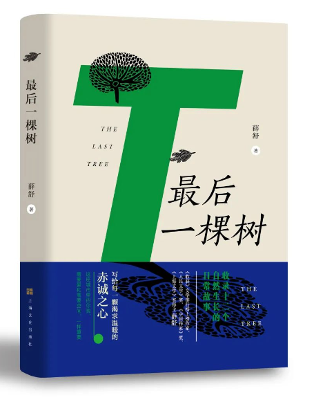 最後一棵樹(2023年上海文化出版社出版的圖書)