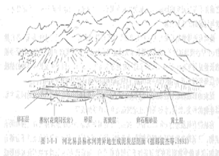 聚煤條件