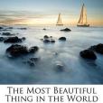 The Most Beautiful Thing in the World(Swift, Fletcher Harper著圖書)