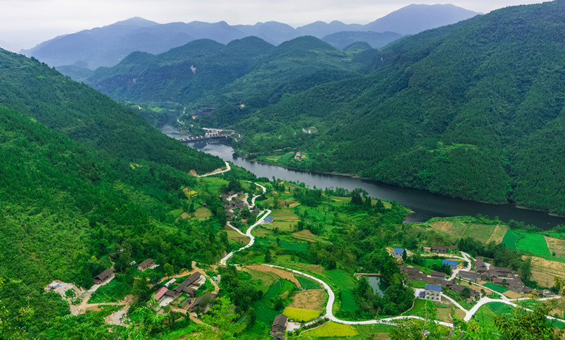 鳳凰寨村(湖北武漢市新洲區鳳凰鎮鳳凰寨村)