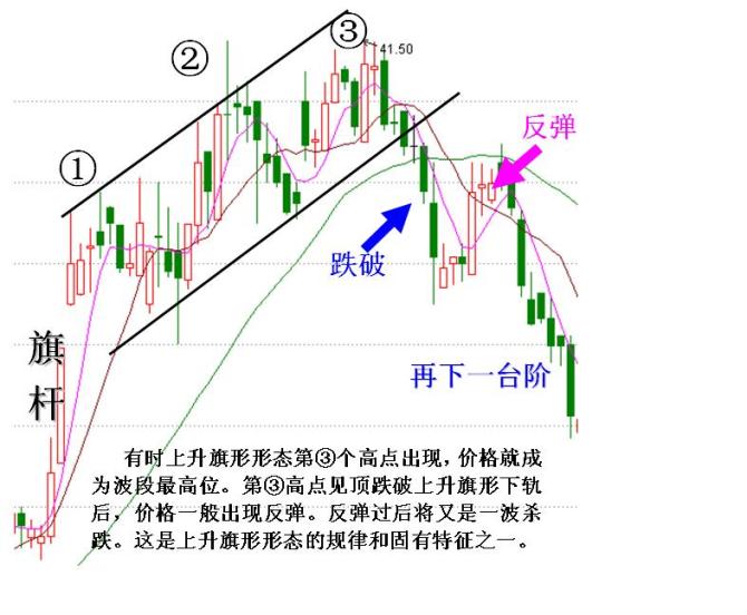 找形分析