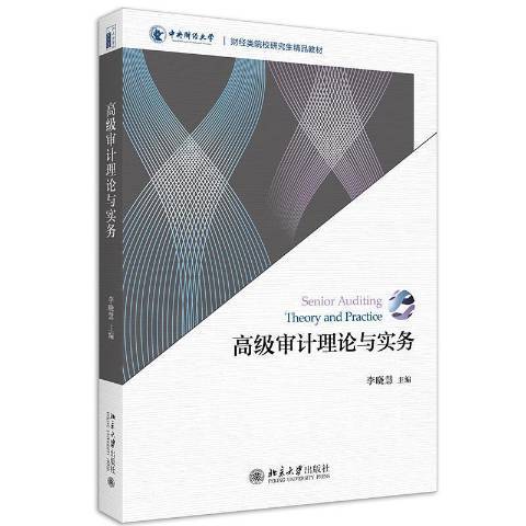 審計理論與實務(2021年北京大學出版社出版的圖書)