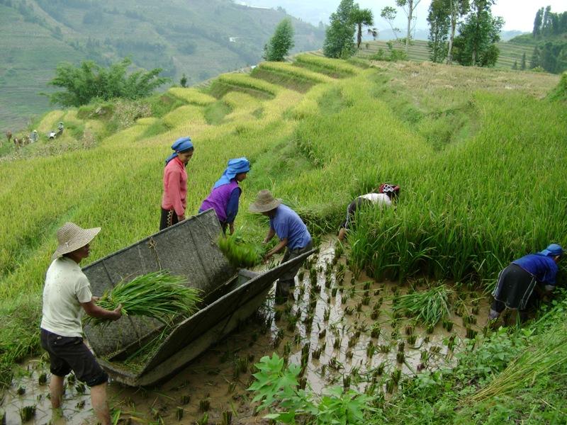 阿扎各村