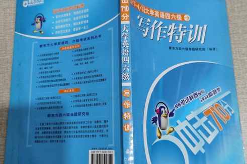 大學英語四六級寫作特訓(2005年群言出版社出版的圖書)