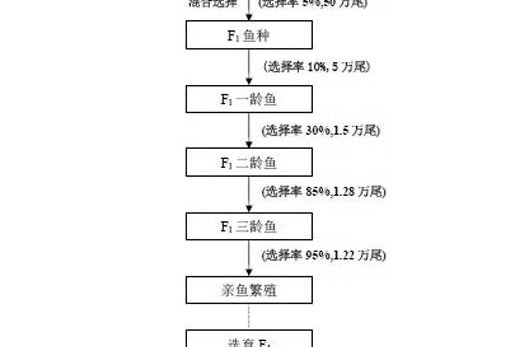 一種翹嘴紅鮊與黑尾近紅鮊間遠緣雜交育種方法