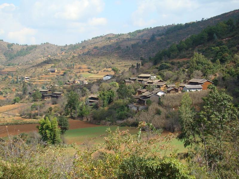 箐頭自然村(雲南省普洱墨江縣魚塘鄉景平村委箐頭自然村)