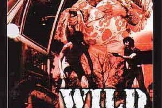 The Wild Dogs