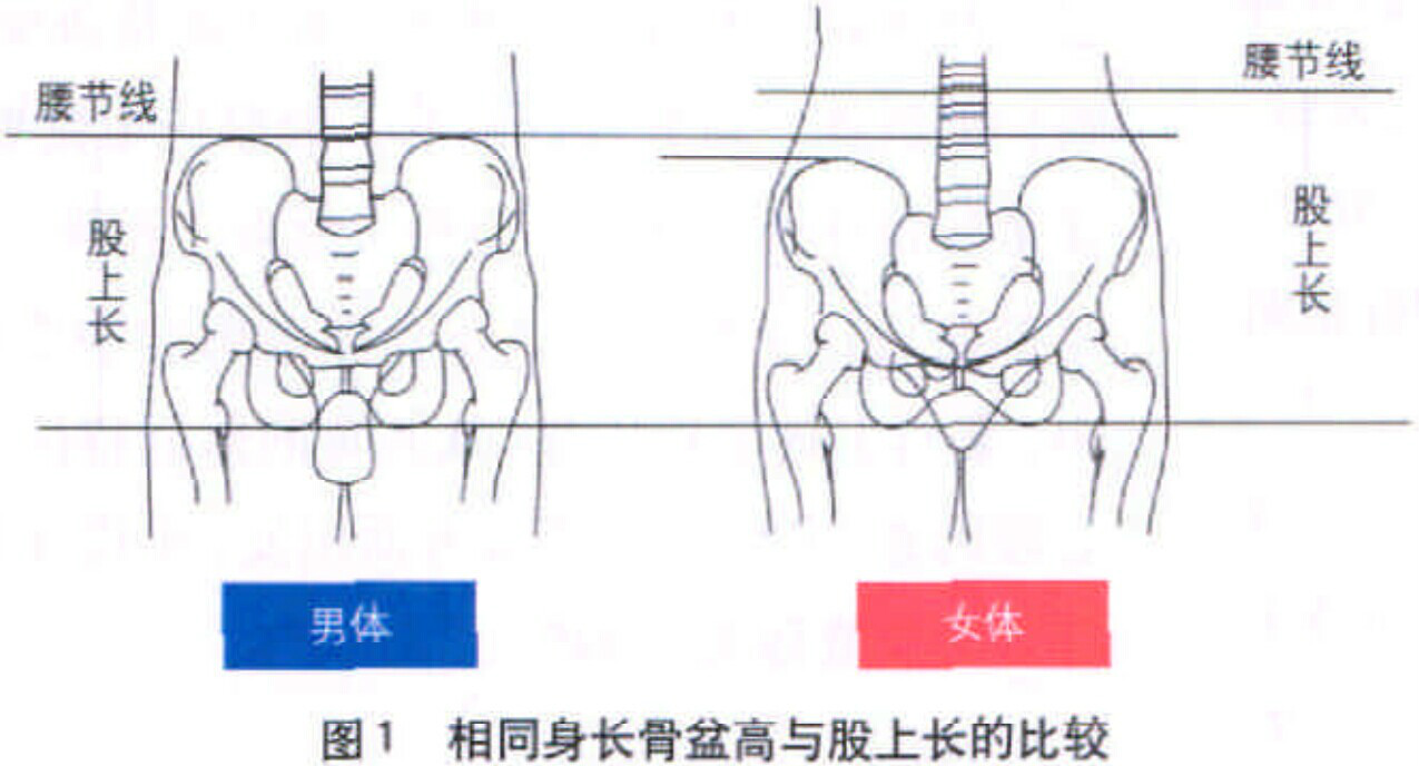 翹臀