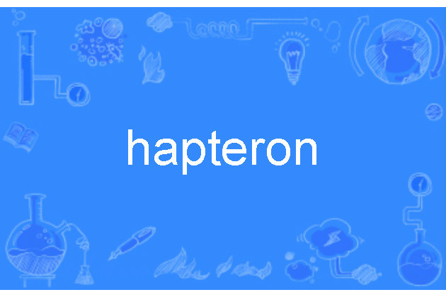 hapteron