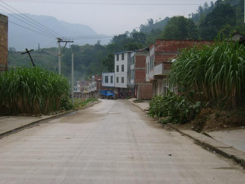 村內道路