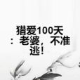 獵愛100天：老婆，不準逃！