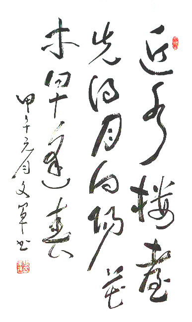 張文軍(學者型書法家)