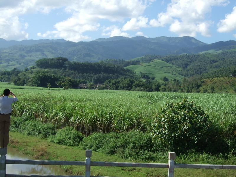 學校全景