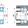 SKF1209軸承