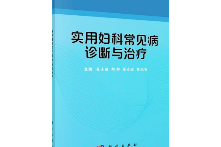 實用婦科常見病診斷與治療