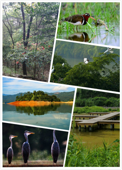 三明市：中國候鳥旅居最綠市