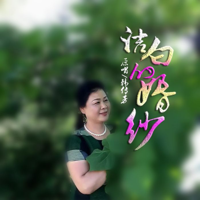 潔白的婚紗(韓傳芳演唱的歌曲)