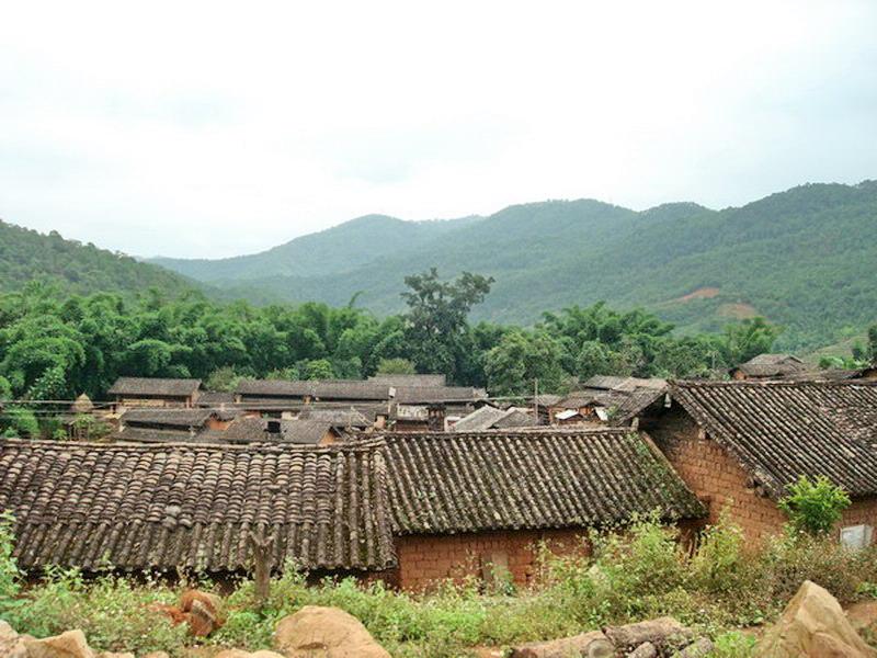 涼陰箐自然村(雲南普洱市民樂鎮下轄村)