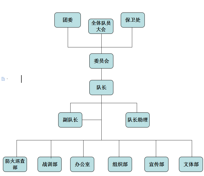 六安職業技術學院大學生志願消防隊