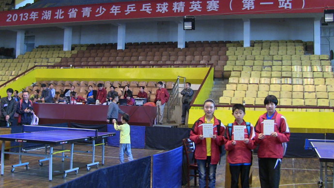 2013年湖北省青少年桌球精英賽