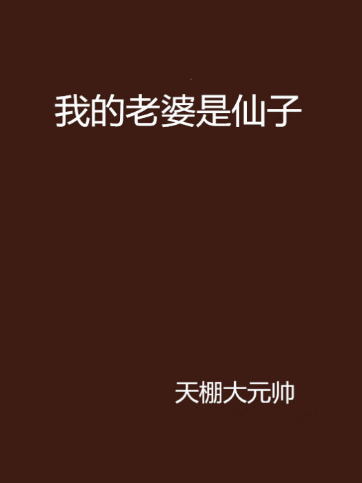 我的老婆是仙子(起點網小說)