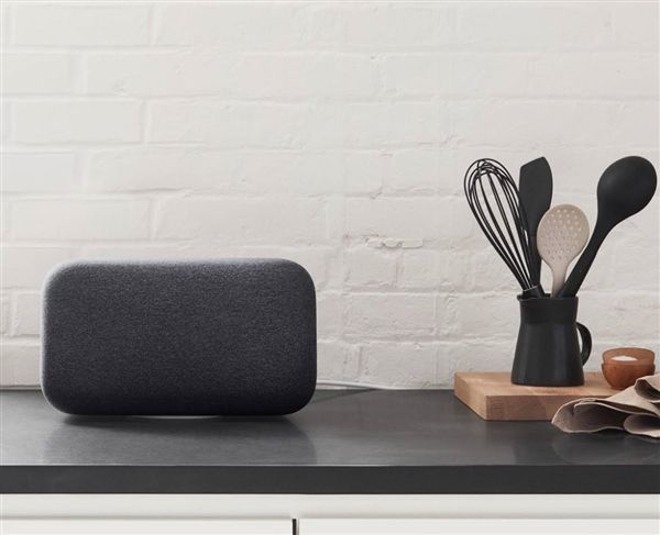 google home max