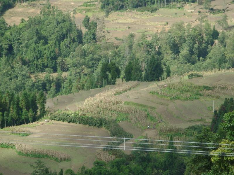 大廠中山村