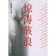 驚濤駭浪(柳建偉著長篇小說)