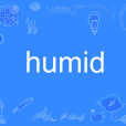 humid