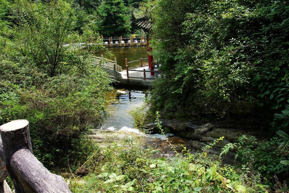 古大同森林公園