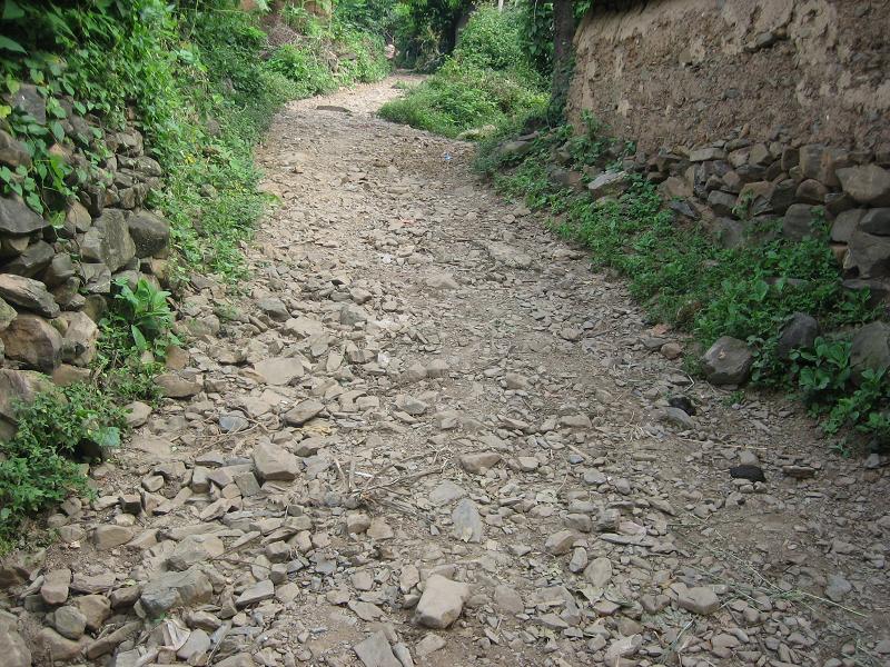 蟲窩村村內路