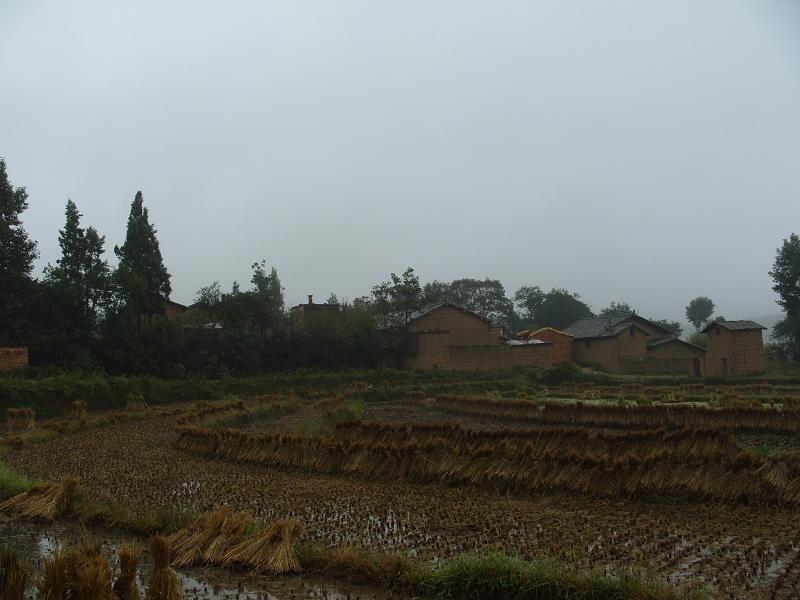 蔣家壩村(通泉鎮雞頭村下轄自然村)