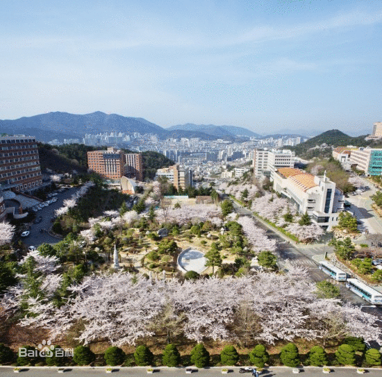 韓國東義大學