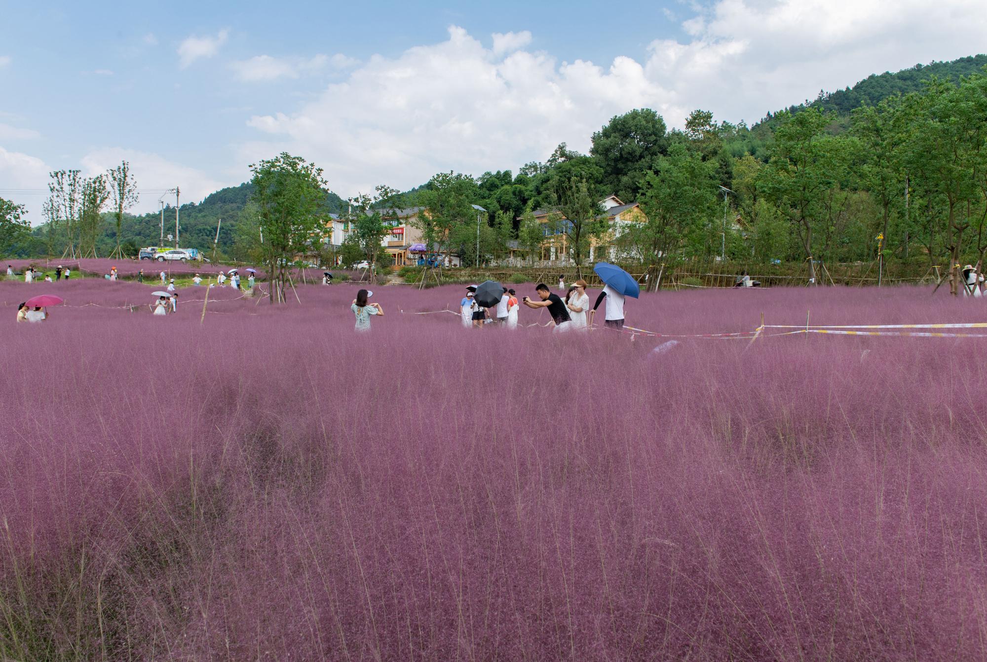 斐然湖