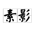 素影(詞語)